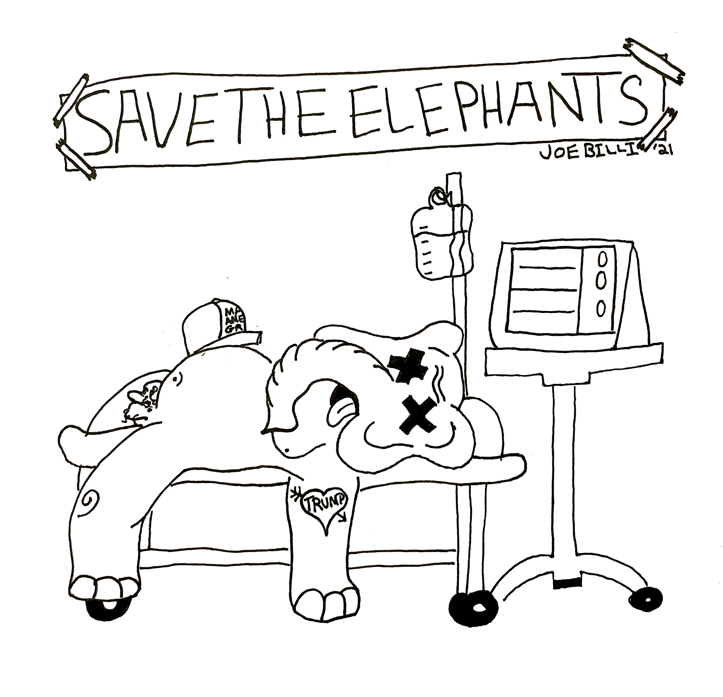 Save The Elephants