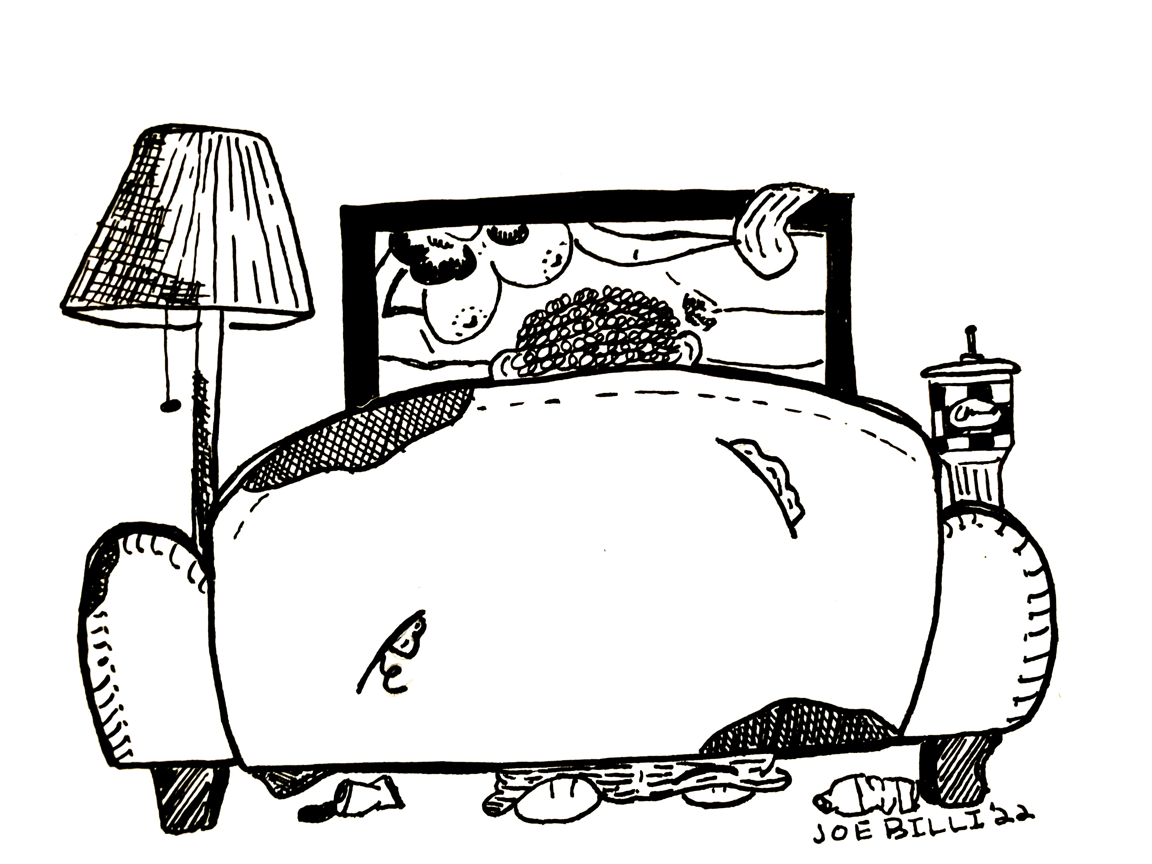 Bare Butts and Nuts Couch Restoration Services