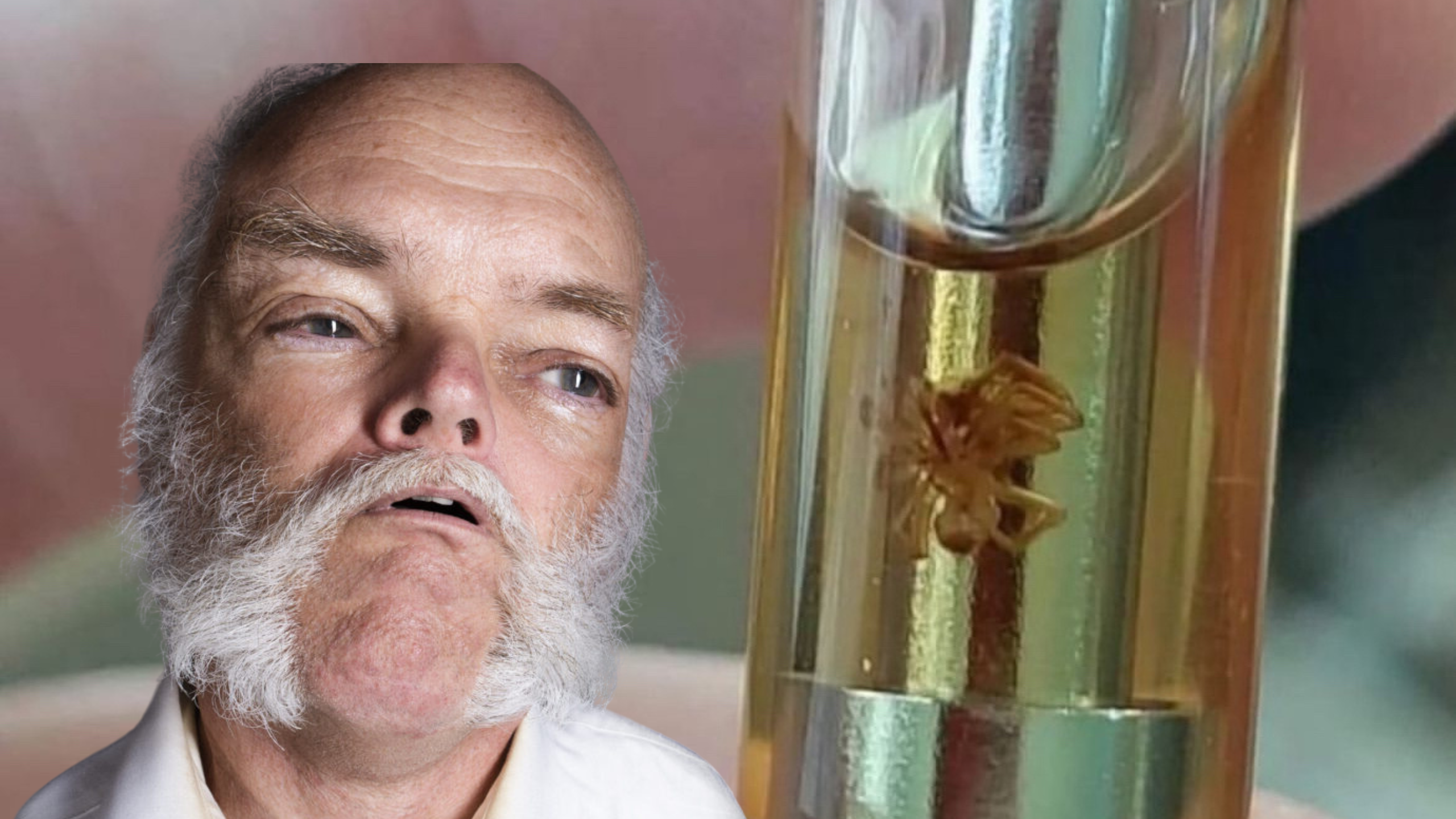 Man Would Rather Smoke Vape Cart With Spider In It Than Return To The Store